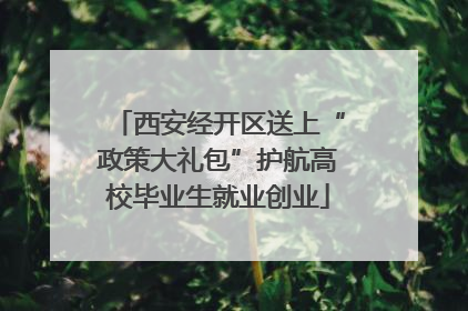 西安经开区送上“政策大礼包”护航高校毕业生就业创业