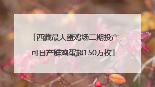 西藏最大蛋鸡场二期投产 可日产鲜鸡蛋超150万枚