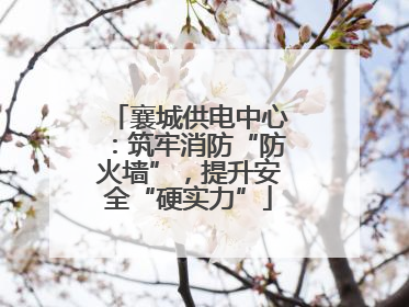 襄城供电中心：筑牢消防“防火墙”，提升安全“硬实力”