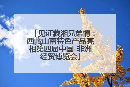 见证藏湘兄弟情：西藏山南特色产品亮相第四届中国-非洲经贸博览会