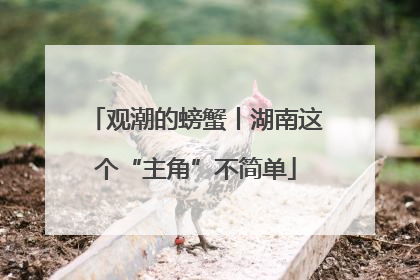 观潮的螃蟹丨湖南这个“主角”不简单