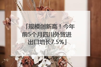 规模创新高！今年前5个月四川外贸进出口增长7.5%