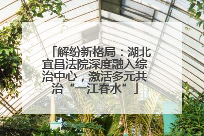 解纷新格局：湖北宜昌法院深度融入综治中心，激活多元共治“一江春水”