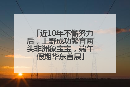 近10年不懈努力后，上野成功繁育两头非洲象宝宝，端午假期华东首展