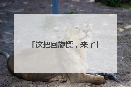 这把回旋镖，来了