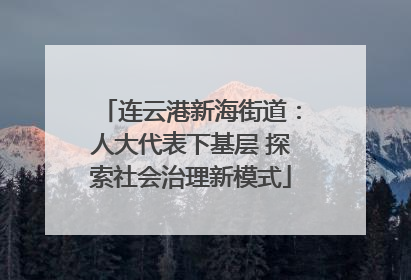 连云港新海街道：人大代表下基层 探索社会治理新模式
