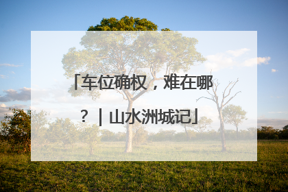 车位确权，难在哪？｜山水洲城记