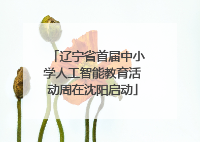 辽宁省首届中小学人工智能教育活动周在沈阳启动