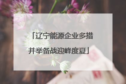 辽宁能源企业多措并举备战迎峰度夏