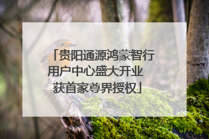 贵阳通源鸿蒙智行用户中心盛大开业 获首家尊界授权
