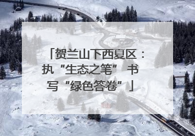 贺兰山下西夏区：执“生态之笔” 书写“绿色答卷”