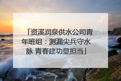 资溪润泉供水公司青年班组：测漏尖兵守水脉 青春建功显担当