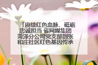 赓续红色血脉、砥砺忠诚担当 省网媒集团菏泽分公司党支部到张和庄社区红色基因传承馆开展主题党日活动