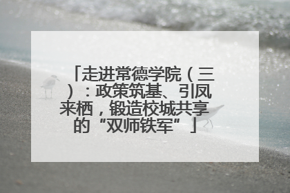 走进常德学院（三）：政策筑基、引凤来栖，锻造校城共享的“双师铁军”