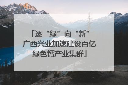 逐“绿”向“新” 广西兴业加速建设百亿绿色钙产业集群