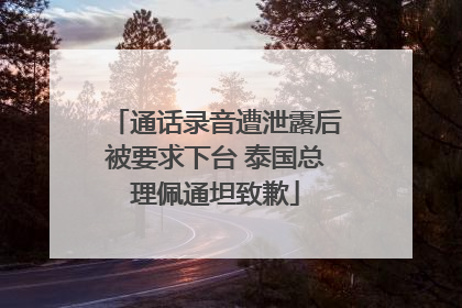 通话录音遭泄露后被要求下台 泰国总理佩通坦致歉