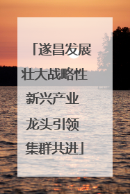 遂昌发展壮大战略性新兴产业 龙头引领 集群共进