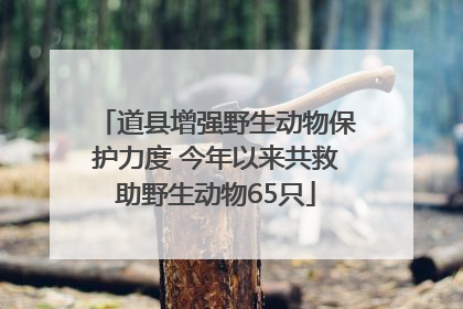 道县增强野生动物保护力度 今年以来共救助野生动物65只