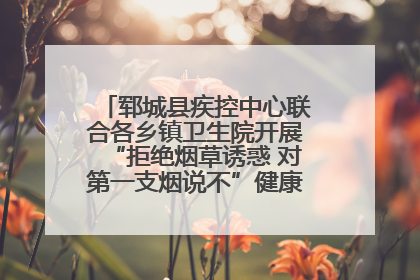 郓城县疾控中心联合各乡镇卫生院开展“拒绝烟草诱惑 对第一支烟说不”健康教育宣传活动