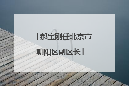 郝宝刚任北京市朝阳区副区长
