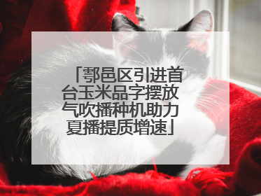 鄠邑区引进首台玉米品字摆放气吹播种机助力夏播提质增速