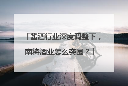 酱酒行业深度调整下，南将酒业怎么突围？