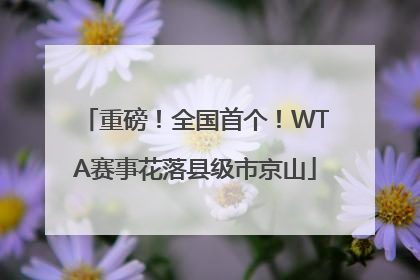 重磅！全国首个！WTA赛事花落县级市京山
