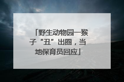 野生动物园一猴子“丑”出圈，当地保育员回应