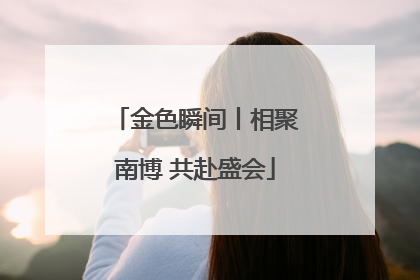 金色瞬间丨相聚南博 共赴盛会