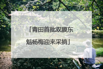 青田首批双膜东魁杨梅迎来采摘