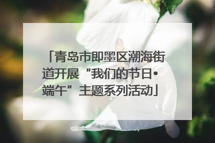 青岛市即墨区潮海街道开展“我们的节日•端午”主题系列活动