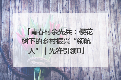 青春村余先兵：樱花树下的乡村振兴“领航人”｜先锋引领⑪