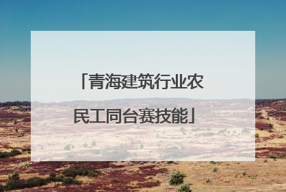 青海建筑行业农民工同台赛技能