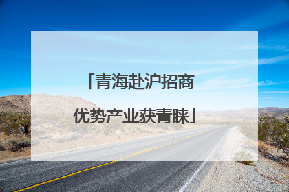 青海赴沪招商 优势产业获青睐