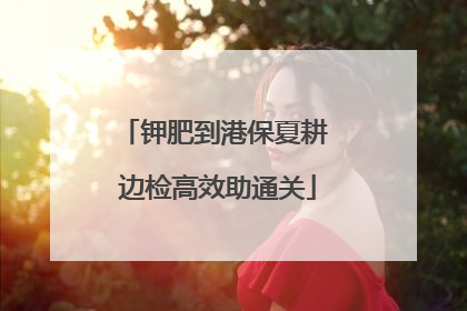 钾肥到港保夏耕 边检高效助通关