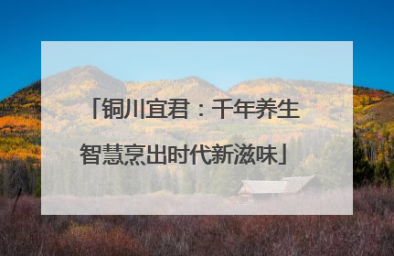 铜川宜君：千年养生智慧烹出时代新滋味