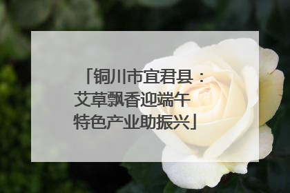 铜川市宜君县：艾草飘香迎端午 特色产业助振兴