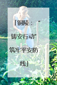 铜陵：“铸安行动”筑牢平安防线