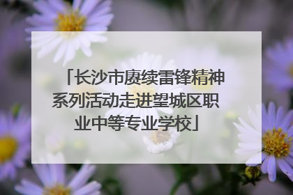 长沙市赓续雷锋精神系列活动走进望城区职业中等专业学校