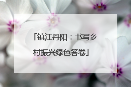 镇江丹阳：书写乡村振兴绿色答卷