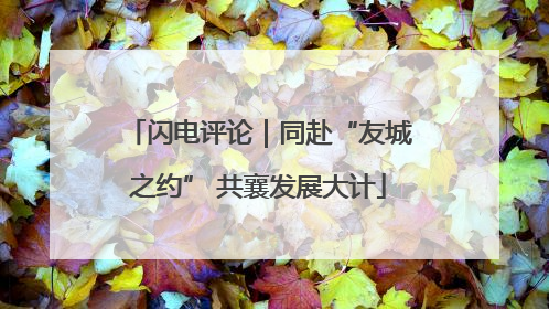 闪电评论｜同赴“友城之约” 共襄发展大计