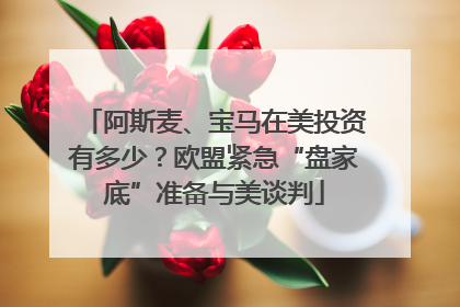 阿斯麦、宝马在美投资有多少？欧盟紧急“盘家底”准备与美谈判