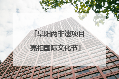 阜阳两非遗项目亮相国际文化节