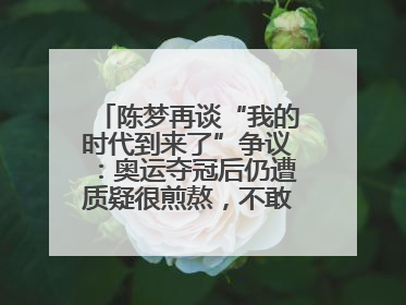 陈梦再谈“我的时代到来了”争议：奥运夺冠后仍遭质疑很煎熬，不敢再这么说了