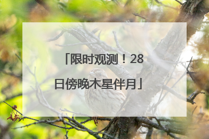 限时观测！28日傍晚木星伴月