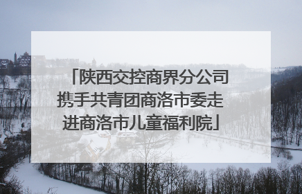 陕西交控商界分公司携手共青团商洛市委走进商洛市儿童福利院