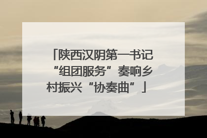 陕西汉阴第一书记“组团服务”奏响乡村振兴“协奏曲”