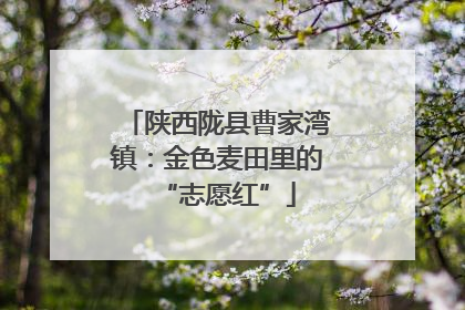 陕西陇县曹家湾镇：金色麦田里的“志愿红”