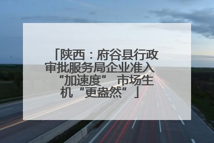 陕西：府谷县行政审批服务局企业准入“加速度” 市场生机“更盎然”