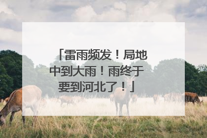 雷雨频发！局地中到大雨！雨终于要到河北了！